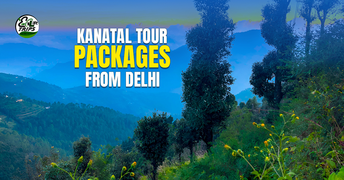Kanatal Tour Packages From Delhi